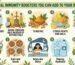 Natural Immunity Boosters
